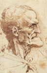 Dibujo Perfil grotesco de Leonardo da Vinci