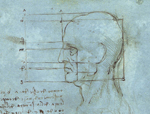 Proporciones de cabeza de Leonardo da Vinci